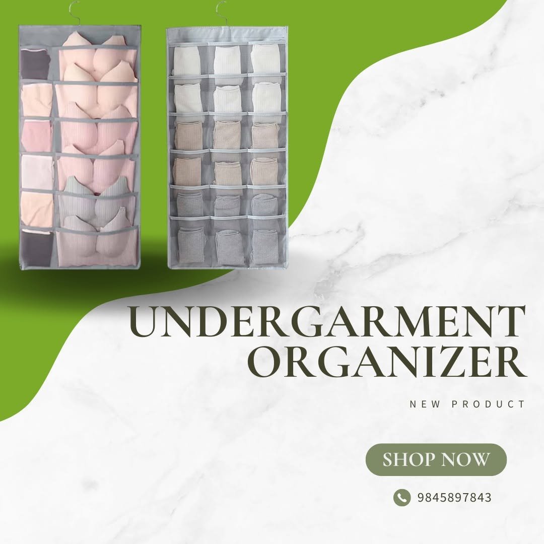 (3 pcs) Undergarment Organizer